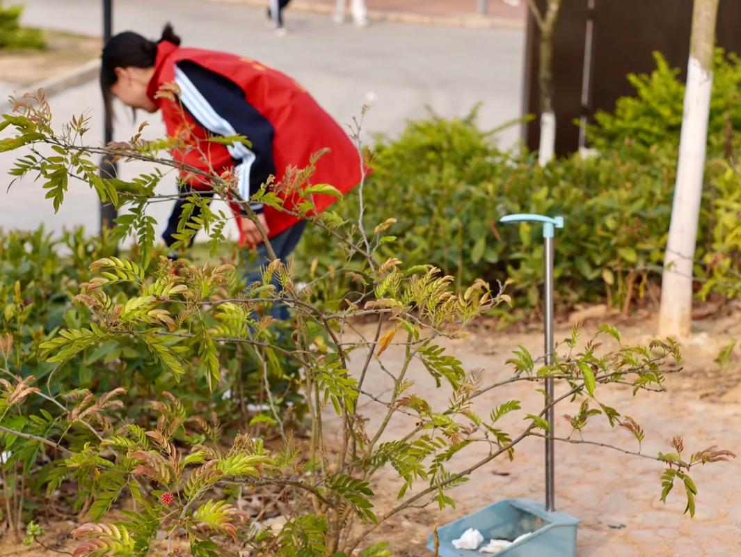 学雷锋，树新风 崇青园高级中学学生会纪检部开展校园清洁志愿活动